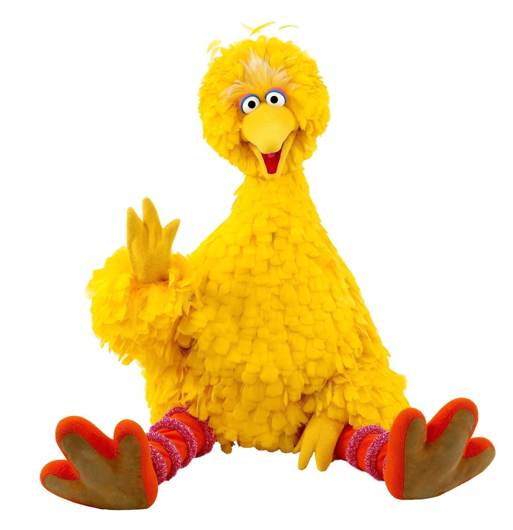 Big bird is a character from Sesame Street. it is an eight-foot two-inch tall bright yellow anthropomorphic bird.